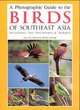 Image for A photographic guide to the birds of Southeast Asia  : including the Philippines &amp; Borneo