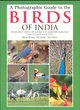 Image for A Photographic Guide to the Birds of India