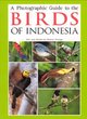 Image for A Photographic Guide to the Birds of Indonesia