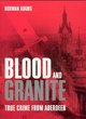 Image for Blood and granite  : true crime from Aberdeen
