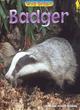 Image for Wild Britain: Badger