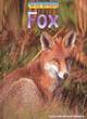 Image for Wild Britain: Fox