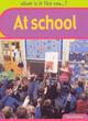 Image for What is it like? At School Paperback