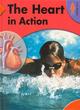 Image for The heart in action