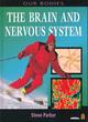 Image for Our Bodies: Brain and Nervous System