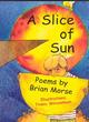 Image for A slice of sun  : poems