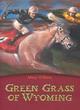 Image for Green grass of Wyoming