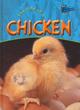Image for Raintree Perspectives: Life Cycles - the Life of a Chicken
