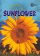 Image for Raintree Perspectives: Life Cycles - the Life of a Sunflower