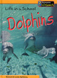 Image for Dolphins  : life in a school