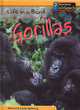 Image for Animal Groups: Life in a Band of Gorillas Hardback