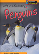 Image for Penguins  : life in a rookery