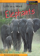 Image for Elephants  : life in a herd