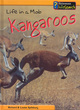 Image for Animal Groups: Life in a Mob of Kangaroos Hardback