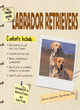 Image for The Simple Guide to Labrador Retrievers