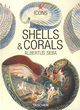 Image for Shells &amp; corals