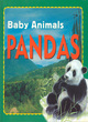 Image for Baby Animals:Pandas