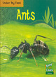 Image for Under My Feet: Ants Hardback