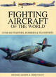 Image for Fighting Aircraft of the World