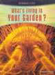 Image for Hidden Life: Whats Living In Your Garden Hardback