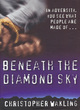 Image for Beneath the diamond sky