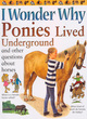 Image for I wonder why ponies lived underground and other questions about horses