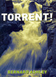 Image for Torrent!