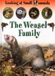 Image for The weasel family