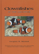 Image for Clownfishes in the Aquarium