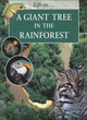 Image for A Giant Tree in the Rainforest