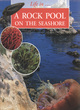 Image for Life in - a rock pool on the seashore