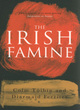 Image for The Irish famine  : a documentary