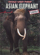 Image for Animals Under Threat: Asian Elephant Hardback
