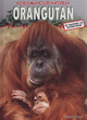 Image for Animals Under Threat: Orangutan Hardback