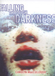 Image for Falling Through Darkness