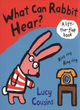 Image for What can Rabbit hear?