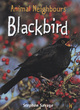 Image for Animal Neighbours: Blackbird