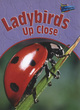 Image for Ladybirds Up Close