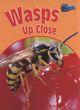 Image for Wasps Up Close