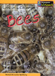 Image for Bees  : life in a colony