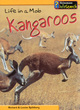 Image for Kangaros  : life in a mob