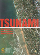 Image for Tsunami  : the world&#39;s most terrifying natural disaster