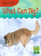 Image for What Can Dig?