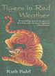 Image for Tigers in red weather