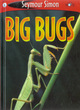 Image for Big Bugs