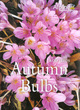 Image for Autumn bulbs