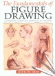 Image for The fundamentals of figure drawing