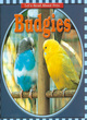 Image for Let&#39;s Read About Pets: Budgies