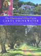 Image for The illustrated olive farm