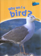 Image for Why am I a bird?